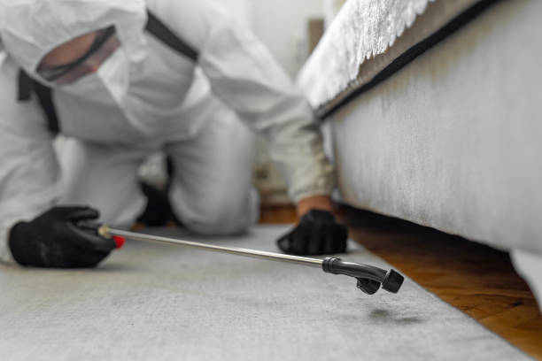 Professional Bed Bug Control technician working in Harlem Heights, FL