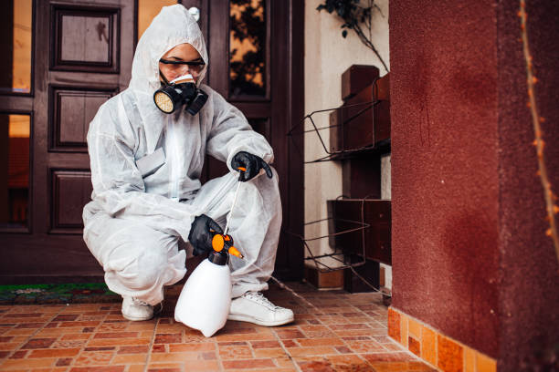Reliable Bed Bug Control contractor in Harlem Heights, FL by Nex Pest Control