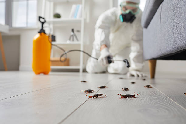 Trusted Fumigation Services service in Harlem Heights, FL - Nex Pest Control